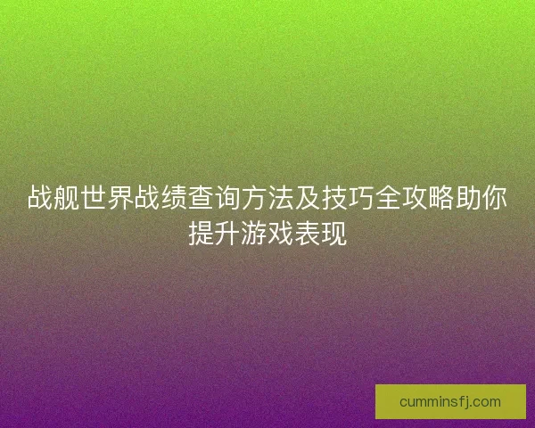 战舰世界战绩查询方法及技巧全攻略助你提升游戏表现