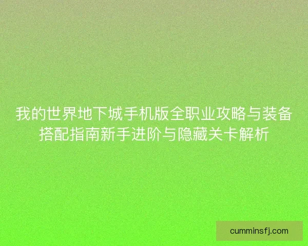 我的世界地下城手机版全职业攻略与装备搭配指南新手进阶与隐藏关卡解析