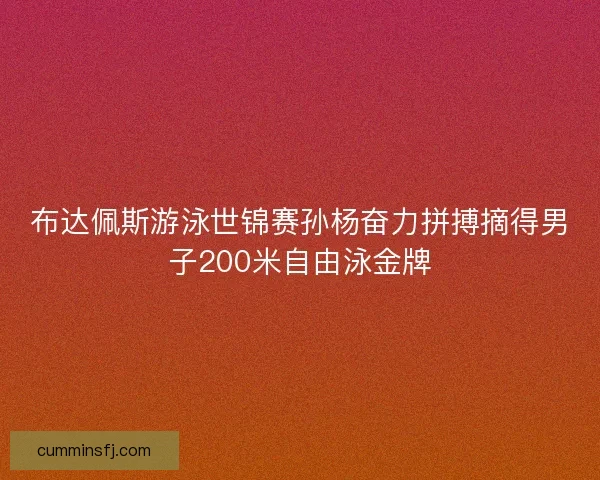 布达佩斯游泳世锦赛孙杨奋力拼搏摘得男子200米自由泳金牌