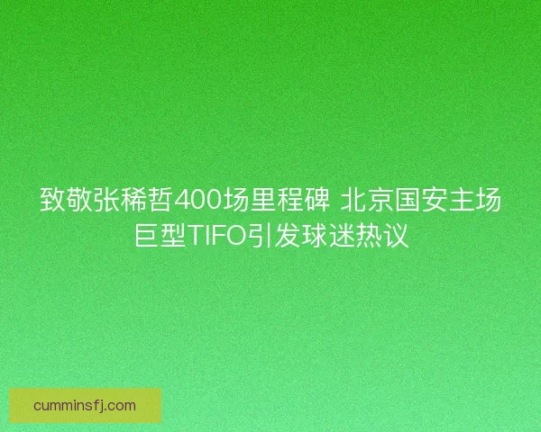 致敬张稀哲400场里程碑 北京国安主场巨型TIFO引发球迷热议