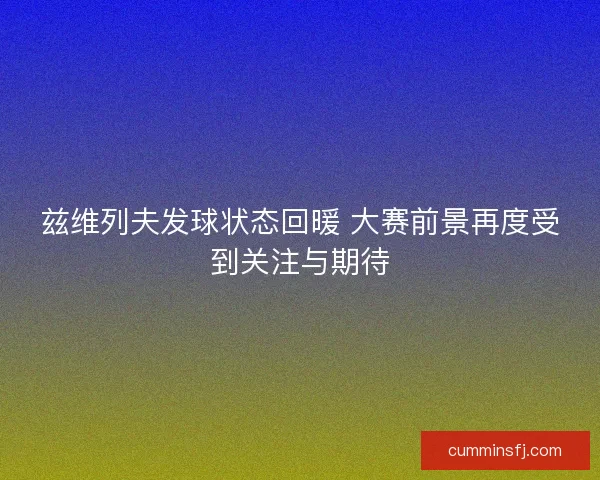 兹维列夫发球状态回暖 大赛前景再度受到关注与期待